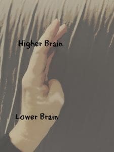 handbrain