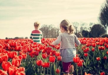 What They'll Learn From Us (That We Won't Even Realise We're Teaching)