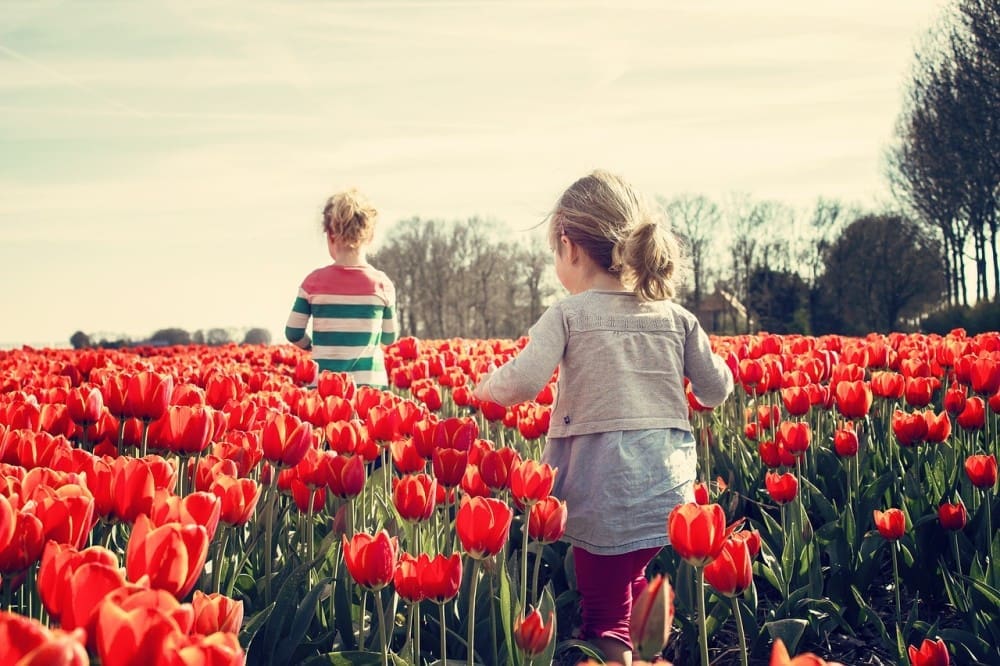 What They'll Learn From Us (That We Won't Even Realise We're Teaching)
